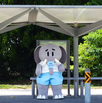 The Elephant <span>in Our Community</span>